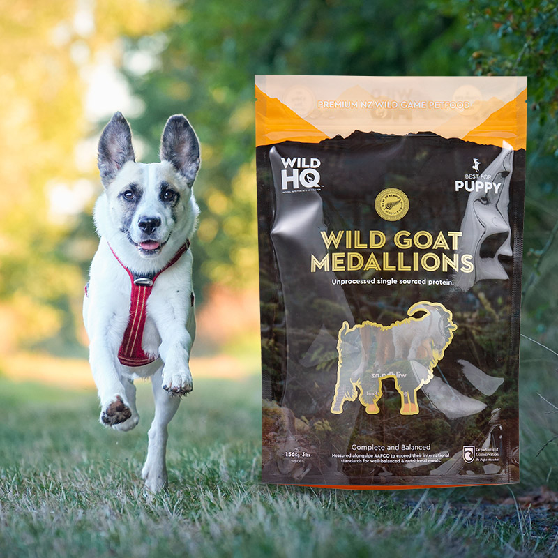 LAETUS Eco-Friendly Digital Printing-low Pouch Coffee Bag